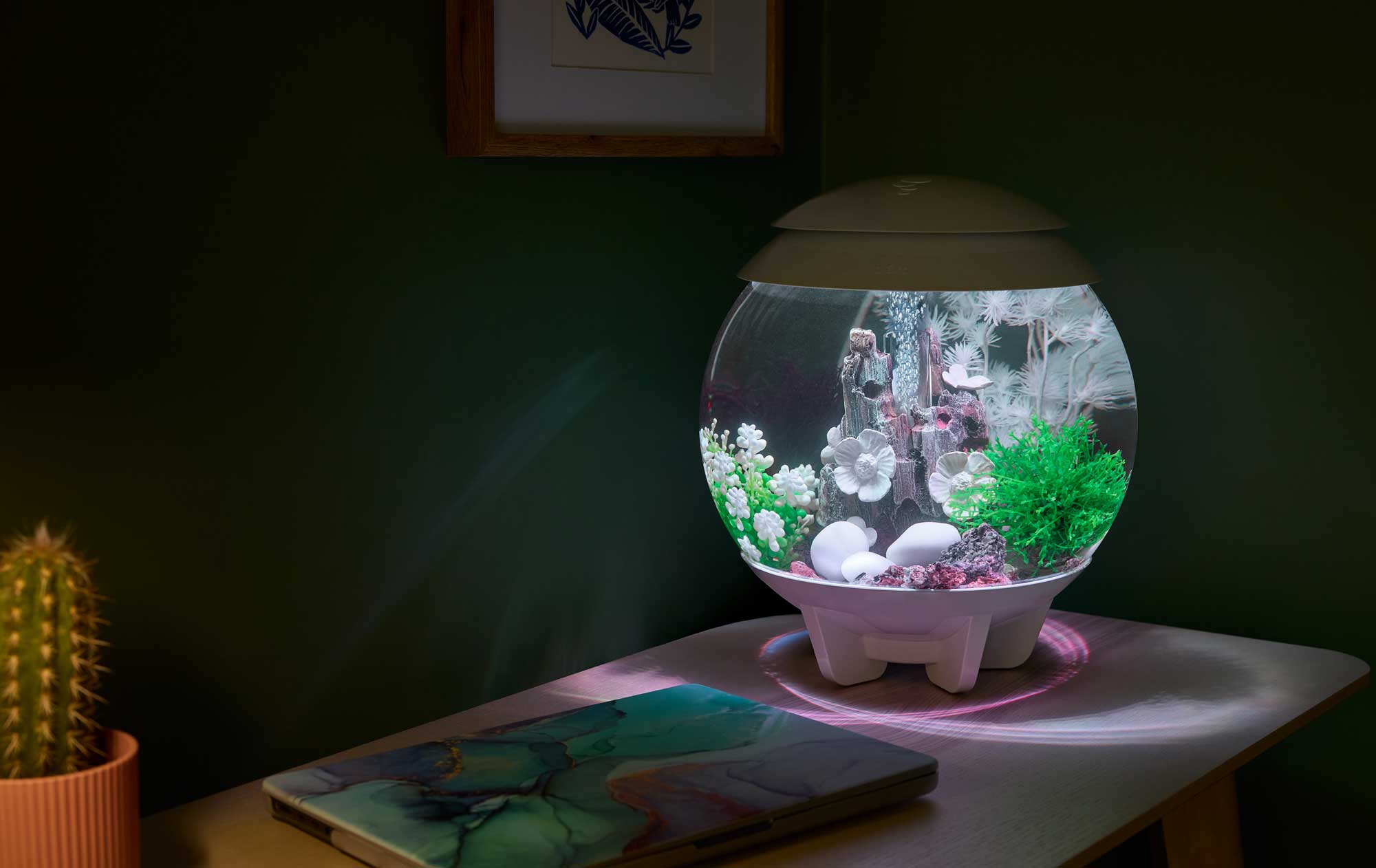 HALO Aquariums Shop the Look – biOrb