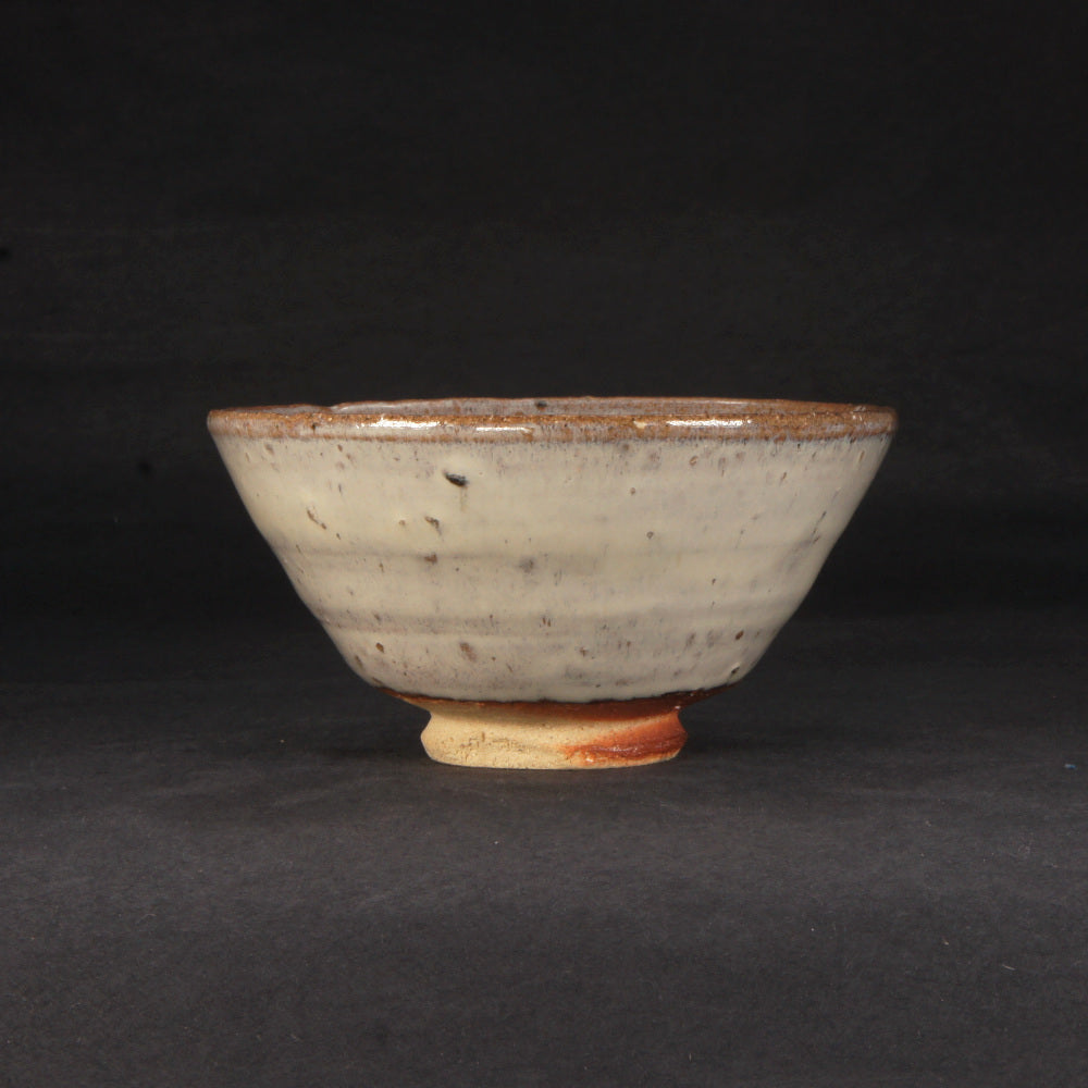 山瀬斑唐津茶碗 P199 浜本洋好作