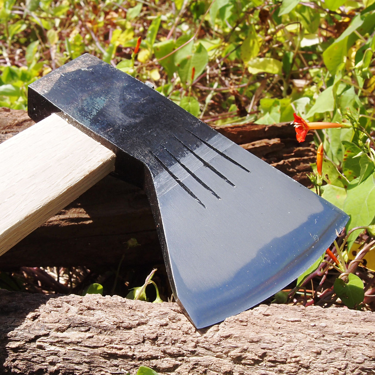 土牛 DOGYU クワガタ採集用 斧 採集名人 無限大 ∞