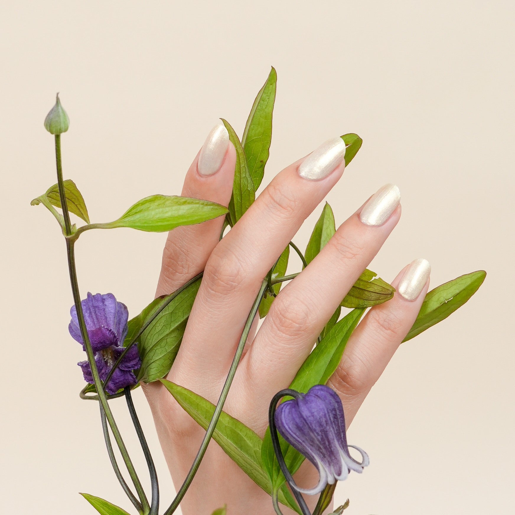 mr ｸﾞﾘｰﾝ ﾅﾁｭﾗﾙﾈｲﾙｶﾗｰ ｿｰﾗｰ 33273 – VAKT.