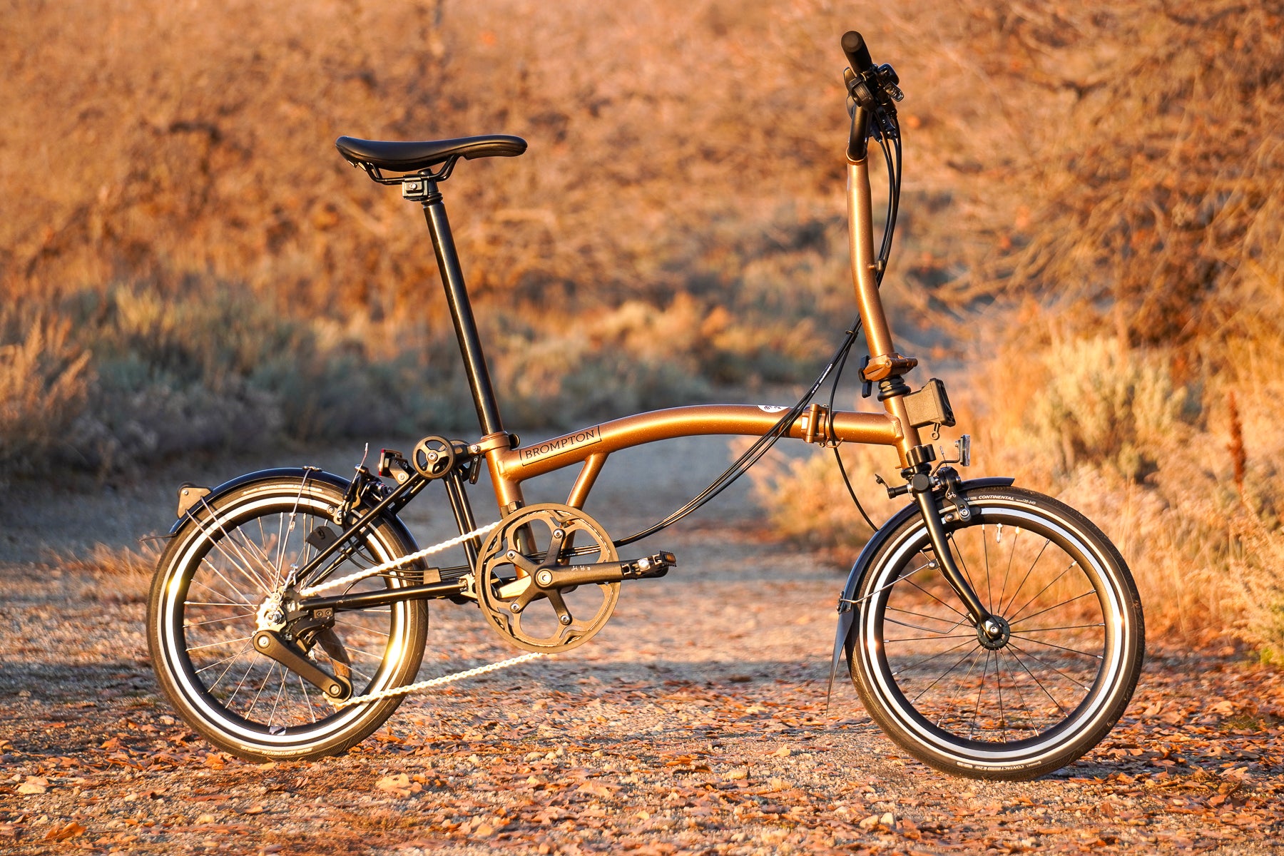 Brompton P Line Explore 12-Speed Review: The Ultimate Folding Bike