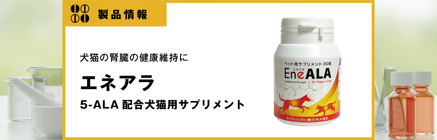 エネアラ｜vet-i-ch｜小動物医療従事者向け Vet-i ch｜物産アニマルヘルス