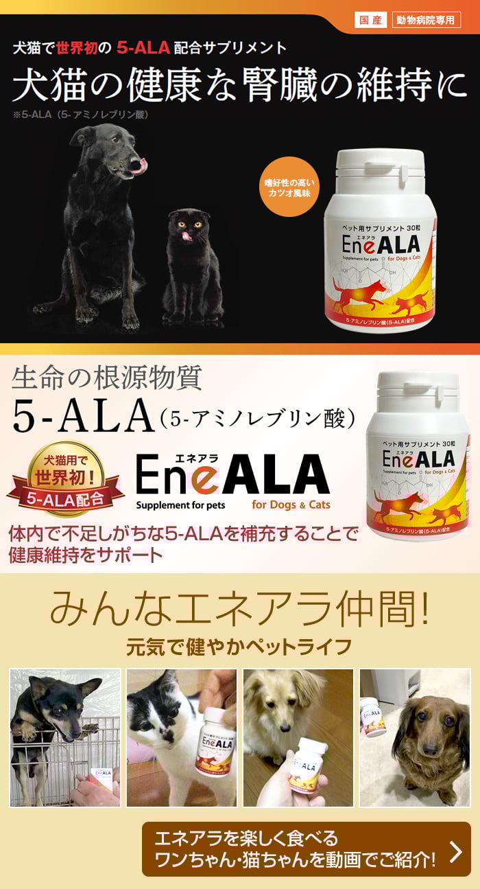 エネアラ｜vet-i-ch｜小動物医療従事者向け Vet-i ch｜物産アニマルヘルス