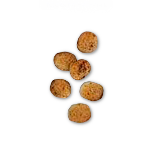 犬用食事療法 | 低分子プロテイン ライト 小粒 ドライ | ベッツホーム