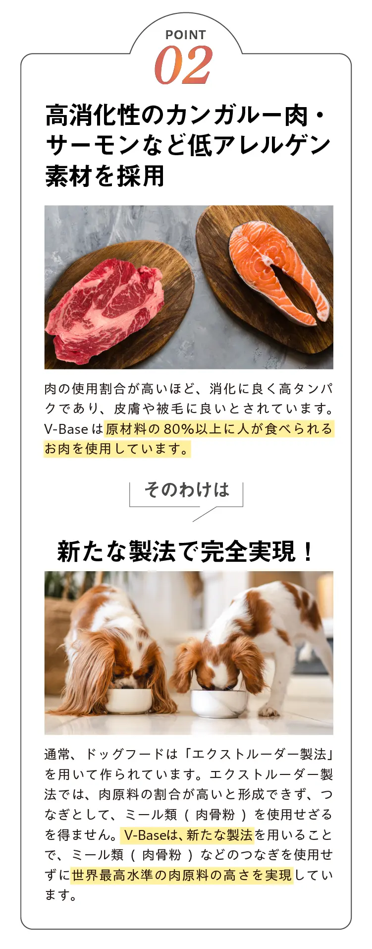 V-Base ブイベース 犬用 800g | Vet's Labo（ベッツラボ）公式ブランド