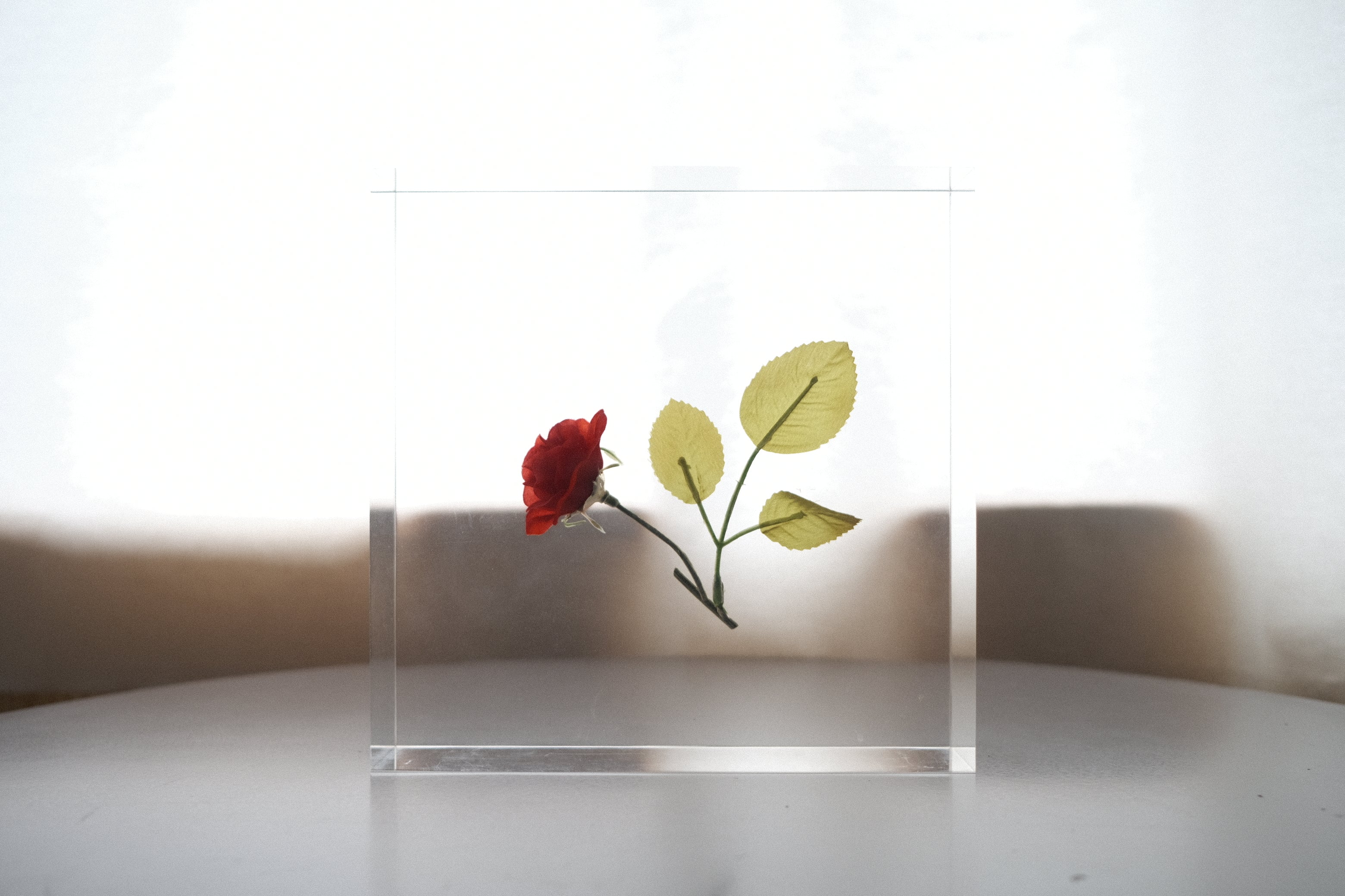 倉俣史朗《Sealing of Rose》― “ミス・ブランチ”と共に生まれた薔薇の封印