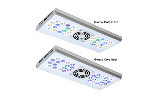 Grassy Core / グラッシー・コア – ボルクスジャパン