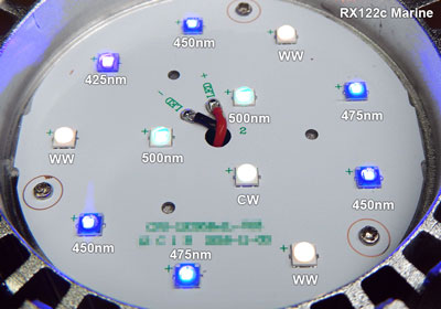 Grassy LeDio RX122 / グラッシー・レディオ RX122 – ボルクスジャパン