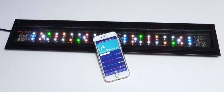 Grassy Wing2 / グラッシー・ウィング2 – ボルクスジャパン