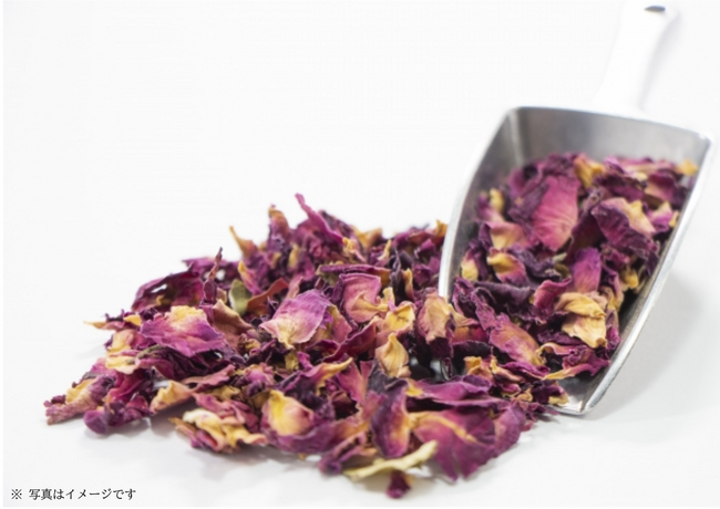 ホロライブと天鷹酒造【九尾】のコラボ第三弾 「花」をコンセプトに