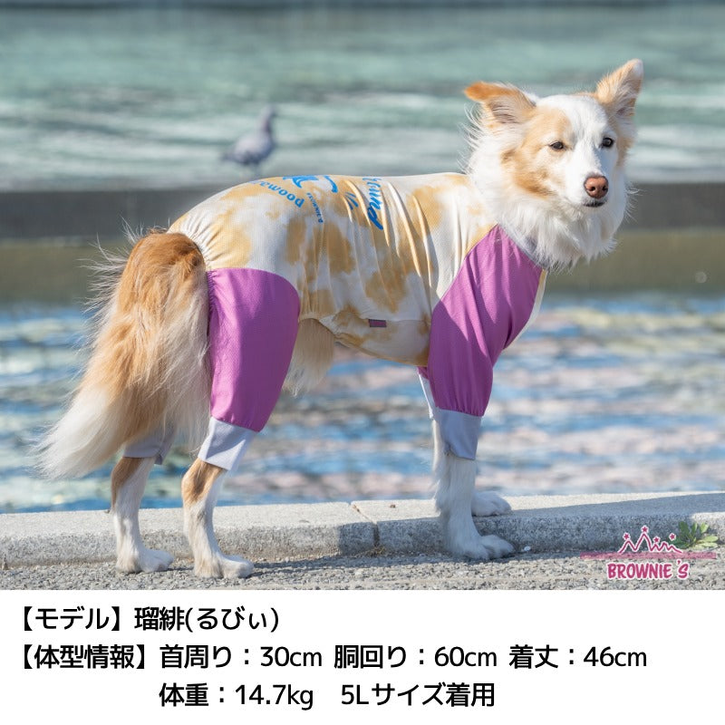 2025年モデル】メッシュアクティブロンパース XS/S/M/L/XL/XXL/DXS/DS