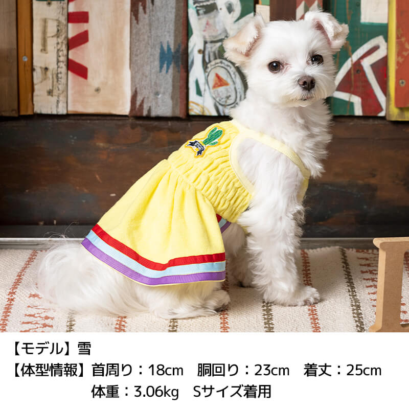 サボテンパイルキャミワンピ XS/S/M/L/XL D's Chat-ディーズチャット