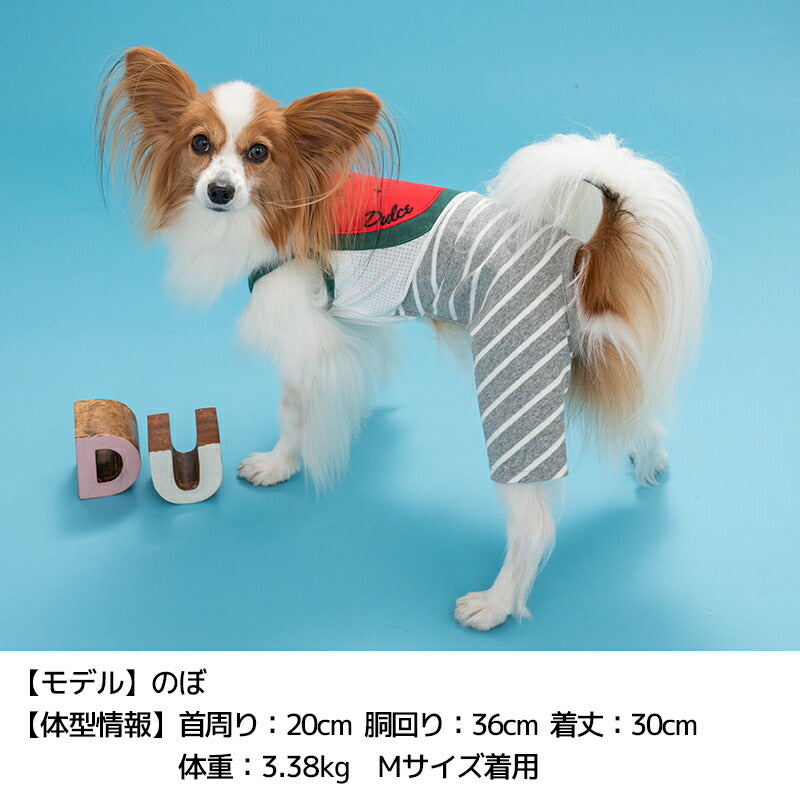 スイカアップリケつなぎ S/M/L/XL Dulce-ドゥルチェ- 犬服 ドッグ