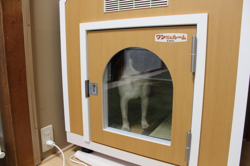 ワンだぁルーム (取り扱い説明書、保証書有り) 超美品】KAWAI製 ワンだ 【