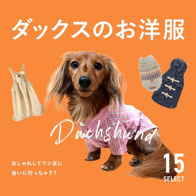 犬服 SS わんこの普段着 オレンジに車 犬服 SS わんこの普段着オレンジに車