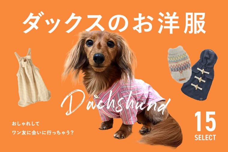 ダックスにおすすめの犬服ブランド15選｜ワンコnowa