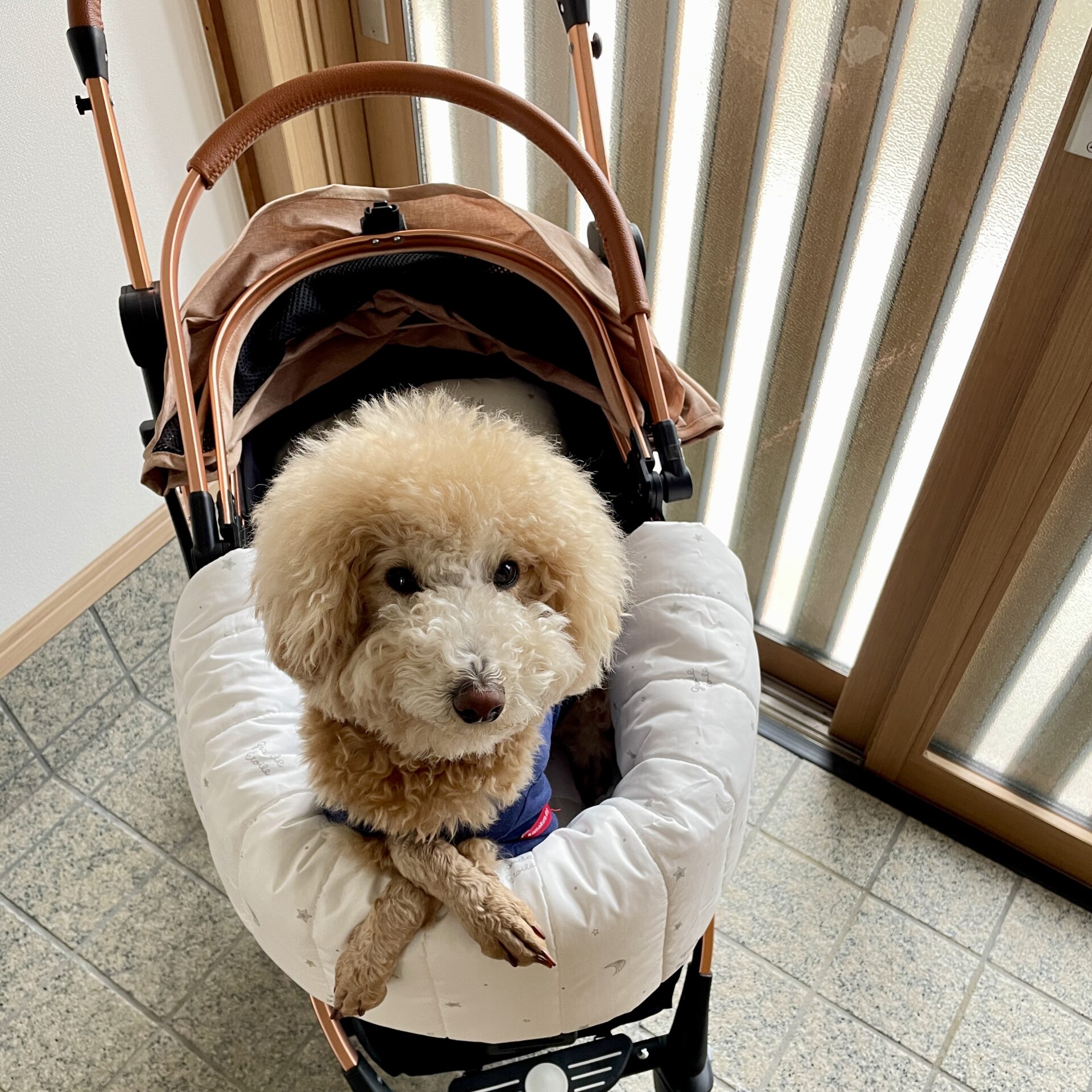 ペット用品さわちゃん様あごのせクッションハンドメイド