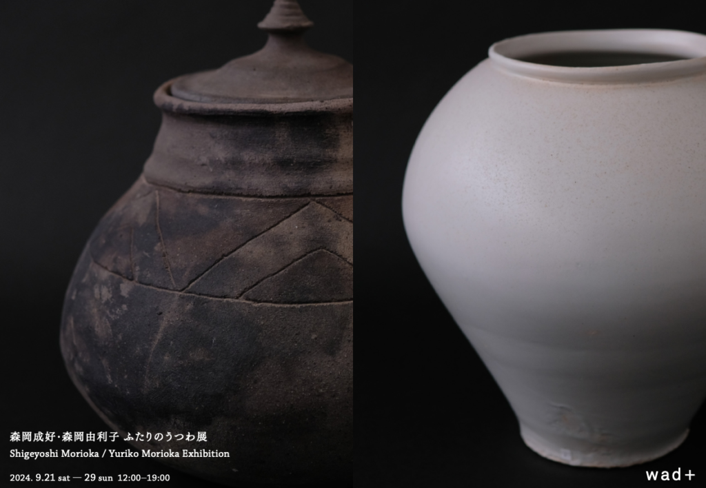 希少作☆森岡成好☆とくり（南蛮窯変徳利）☆共箱☆緋色 希少作☆森岡