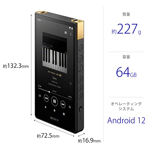 希少！ SONY WALKMANソニーウォークマンNW-A607 ジャンク SONY NW-A607