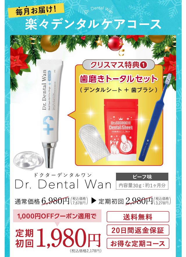 Dr. Dental Wan デンタルケア 2本セット 30g ショップ Dr. Dental Wan