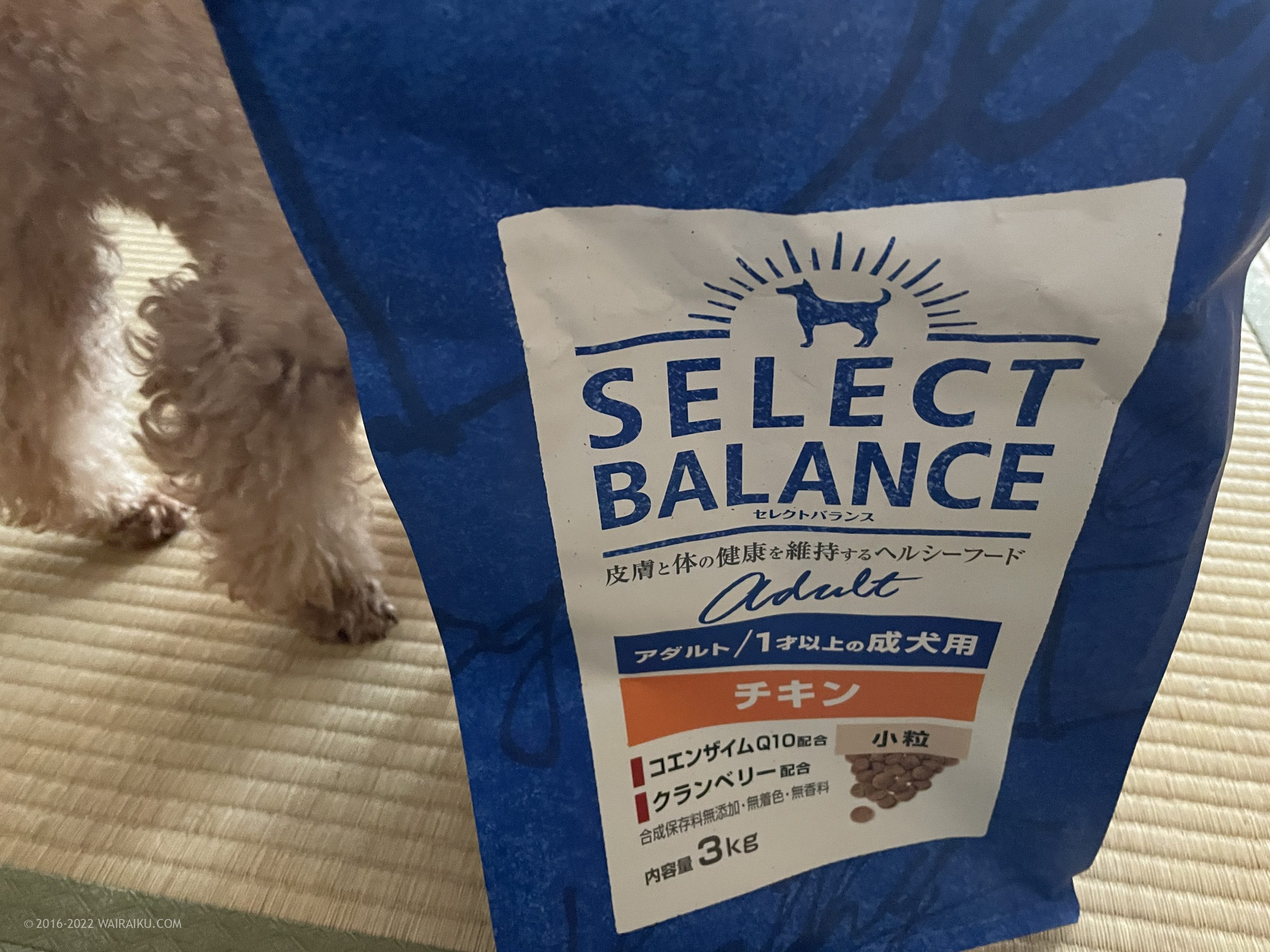 セレクトバランス ブリーダーパック成犬用ラム18.14kg ※匿名配送！