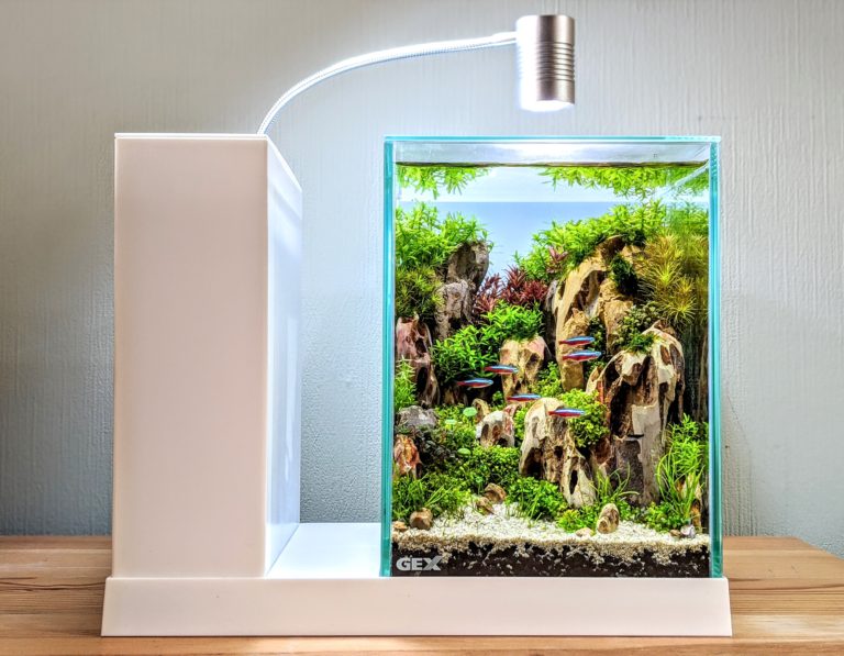GEX aquarista AQUA-U アクアユー ホワイト ガラス水槽