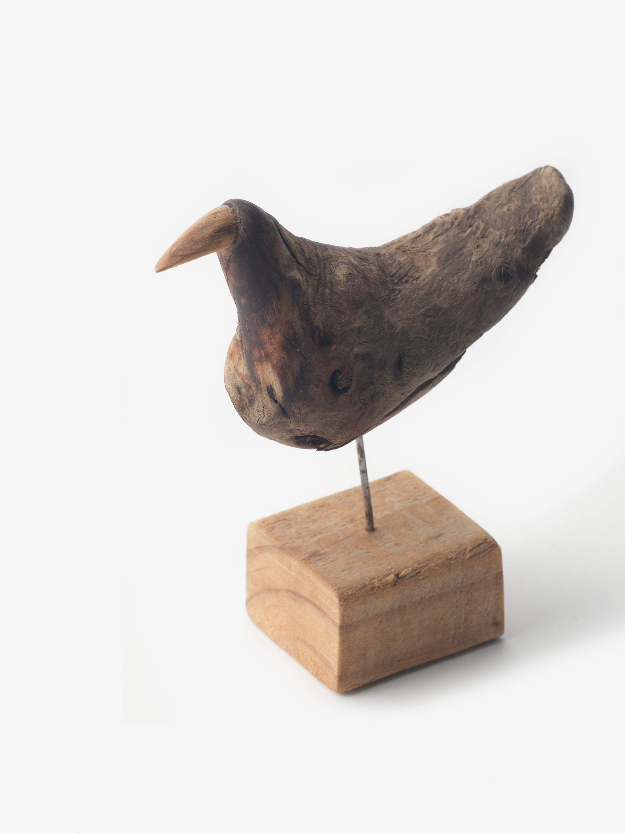 流木の鳥｜針原修