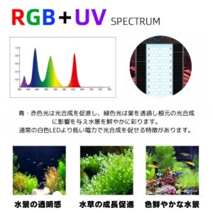 A430 TH RGB – WEEK AQUA