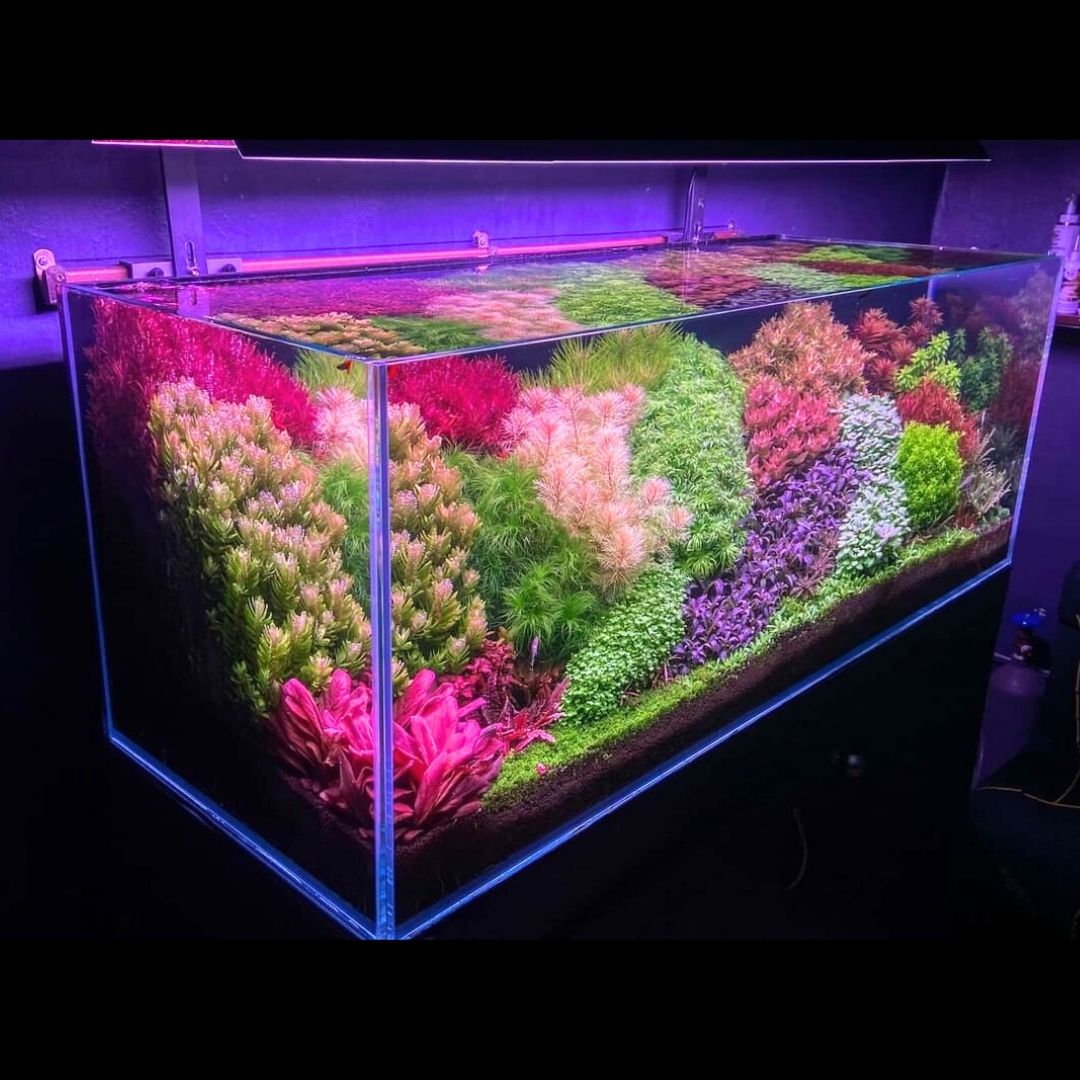 Pシリーズ RGB SE – WEEK AQUA