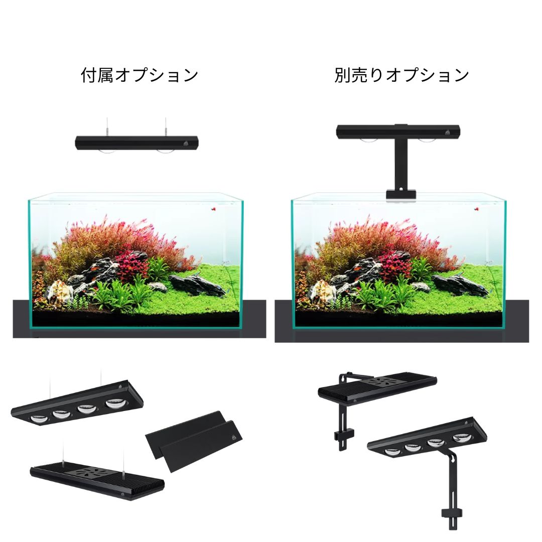 Z400 RGB TH – WEEK AQUA