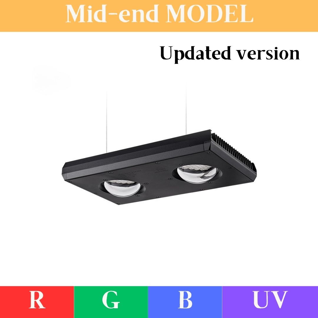 Z250 RGB TH – WEEK AQUA