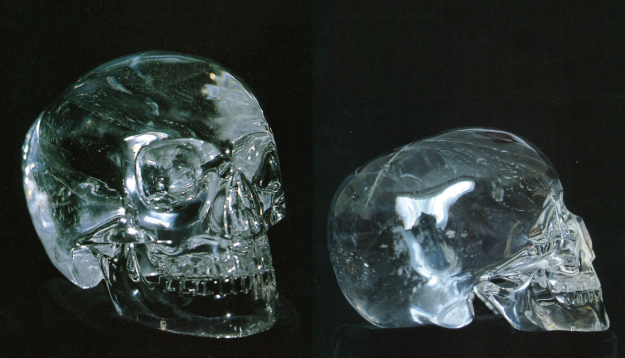 水晶 クリスタルスカル ドクロ店長 水晶 クリスタルスカル ドクロ店長