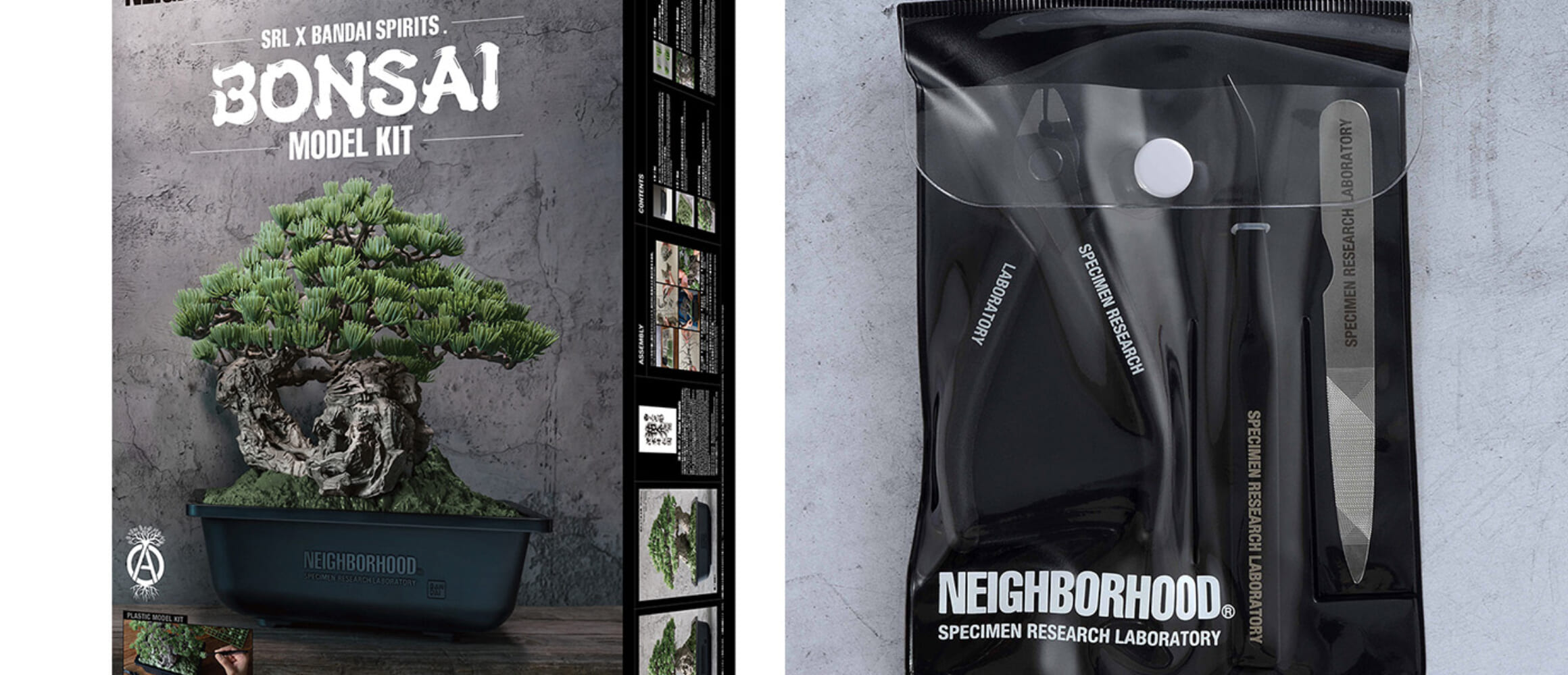 和のセンスが光る！実物の吾妻五葉松の盆栽をモデル化した“BONSAI