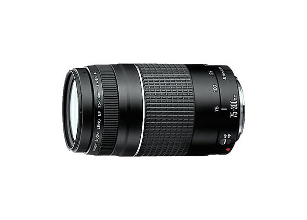 Canon EOS Rebel T7 - Double Zoom KIT - digital camera EF-S 18-55mm