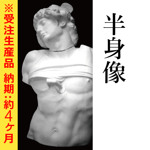 ホルベイン】石膏像 半身像【納期:約4ヶ月】の通販|モチーフの通販なら