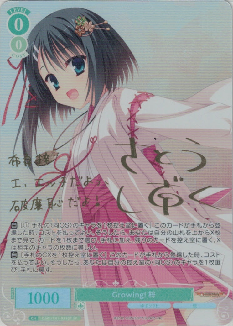 WS ヴァイスシュヴァルツ ウォールナットの正体 クルミ SSP