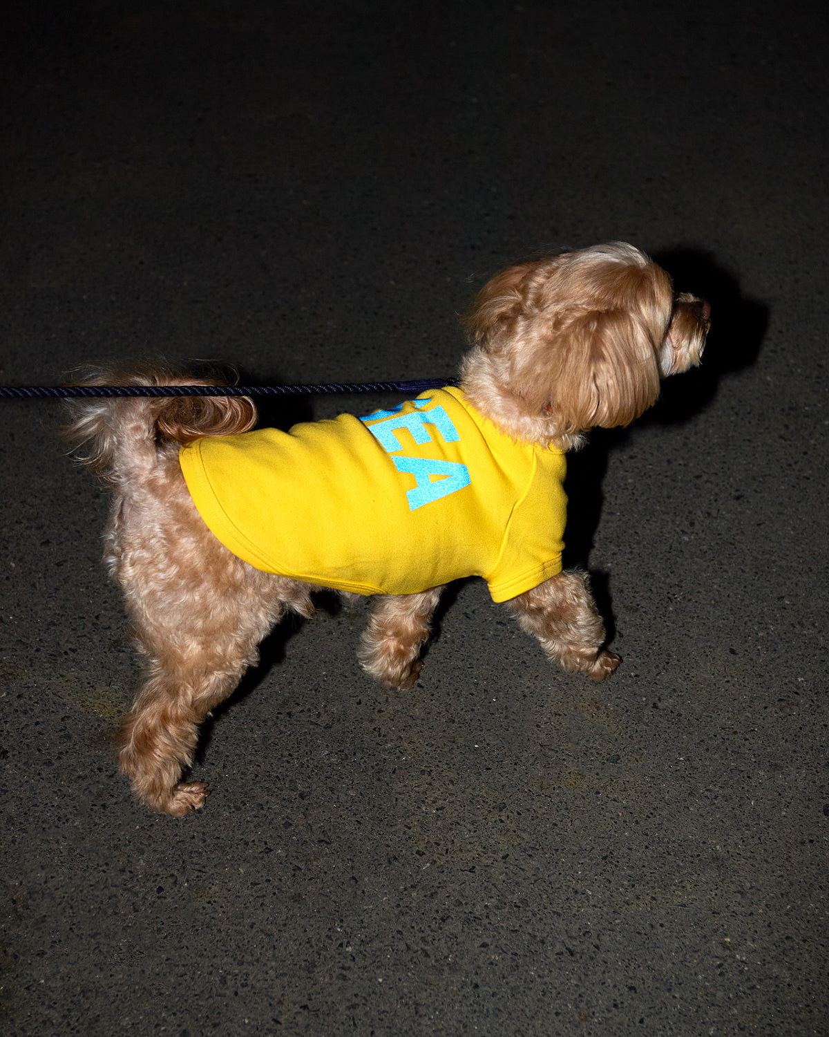 DOG TEE – WIND AND SEA