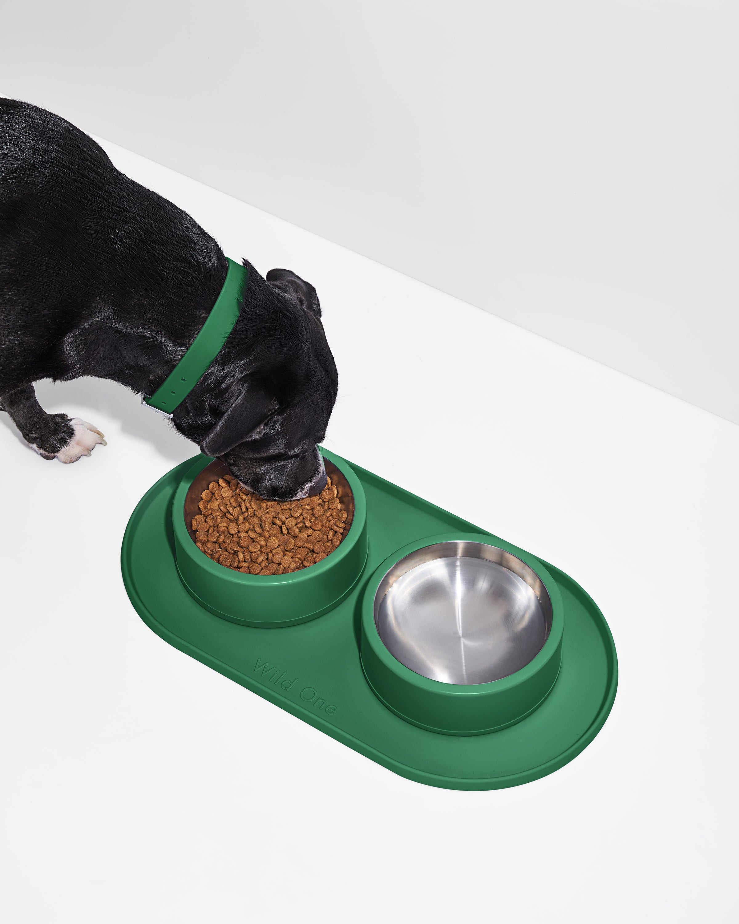 Stainless Steel Dog Bowl & Silicone Mat Set | Wild One