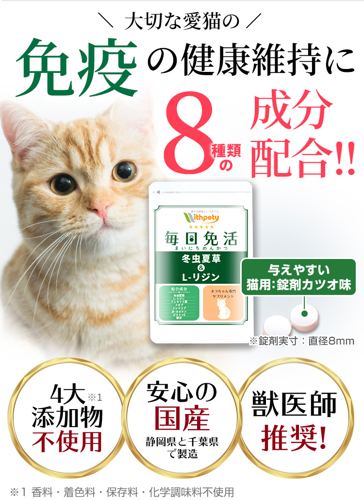 毎日免活【公式ウィズペティ】猫用免疫サプリ｜冬虫夏草・L-リジン配合