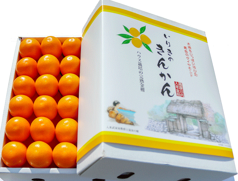 ハウスきんかん (冬季限定商品)｜社会福祉法人 ウイズ福祉会｜鹿児島県