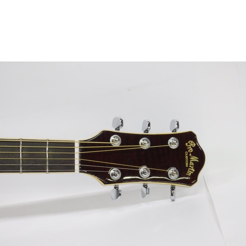 promartin ea500w vs エレアコ ギター Pro Martin エレアコ EA500W VS