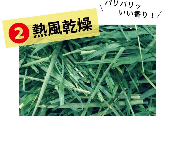 ワイルドイタリアン - 株式会社ウーリー｜うさぎの食彩工房