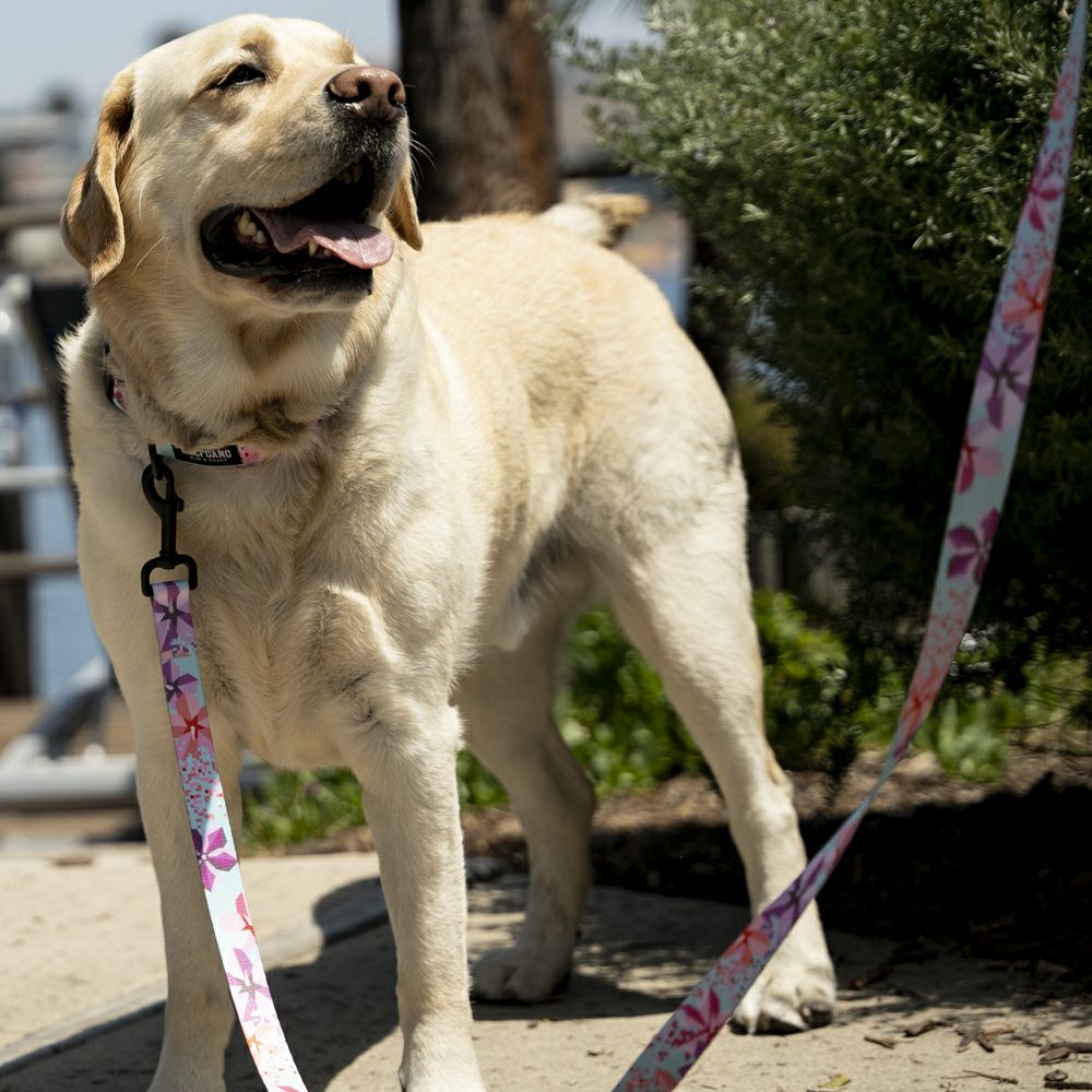 DigiFloral Harness ( M size ) | WOLFGANG