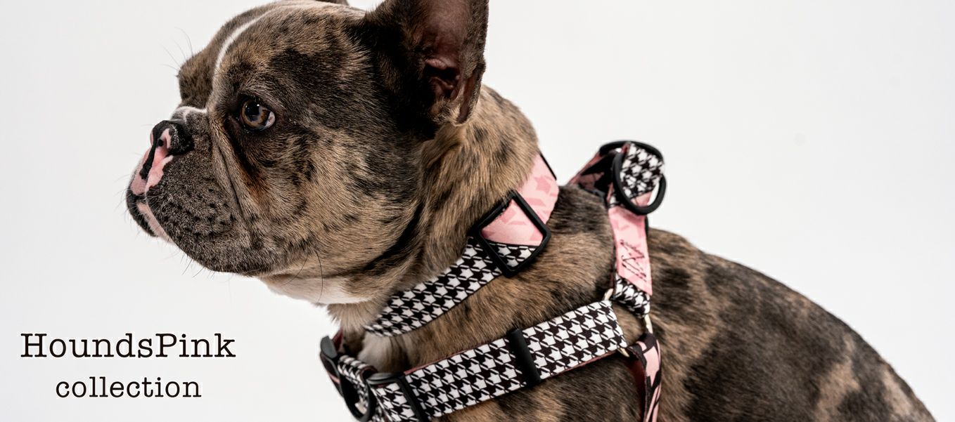 HoundsPink HARNESS ( M size ) | WOLFGANG
