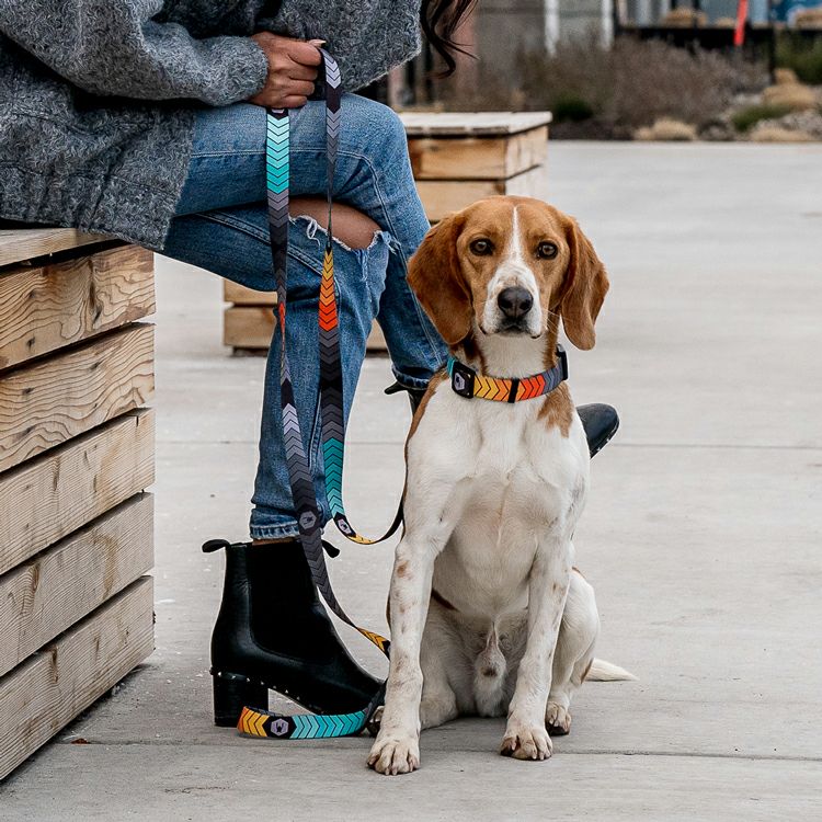 新品未使用】ウルフギャング ドッグベッド Lサイズ やってくれたな