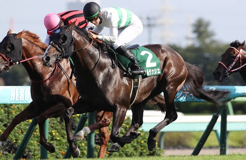 ソウルラッシュ（Soul Rush） | 競馬データベース | JRA-VAN World
