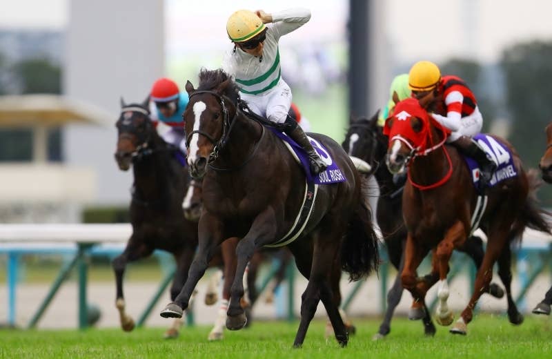 ソウルラッシュ（Soul Rush） | 競馬データベース | JRA-VAN World