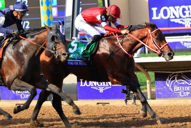 ニュース | 2025ブリーダーズカップ | JRA-VAN World - 海外競馬情報サイト