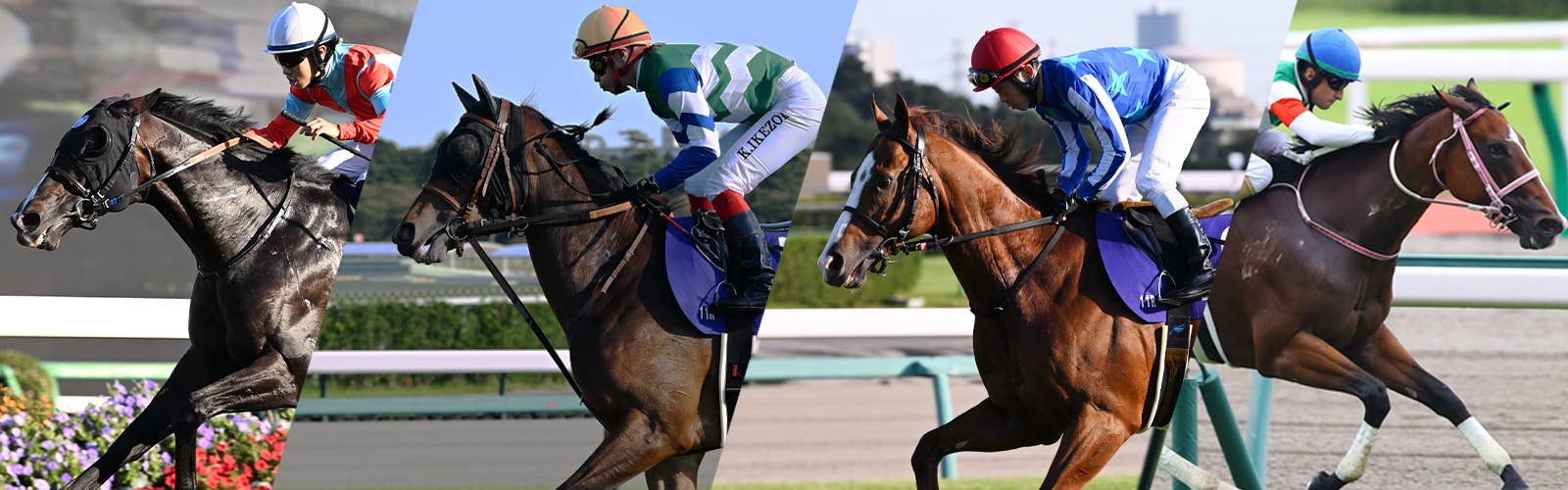 競馬 レシステンシア 2022年香港スプリント実使用ゼッケン レース結果