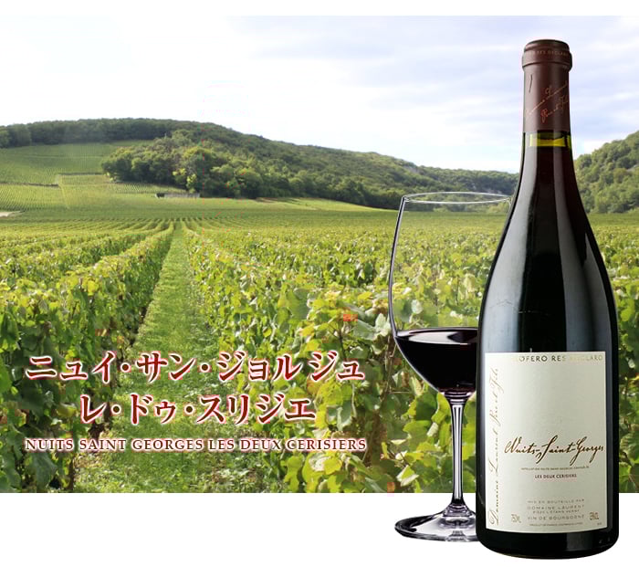 ニュイ・サン・ジョルジュ 赤ワイン2本セット ニュイ・サン